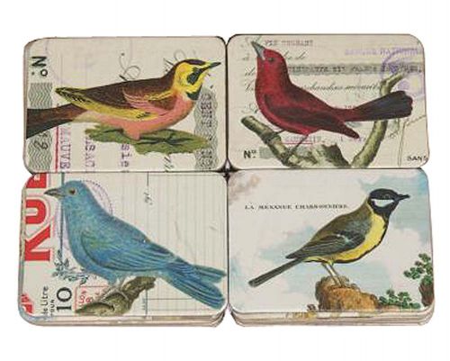 Set Of 24 Lovely Beautiful Birds Refrigerator Magnets Colorful Fridge  Magnets