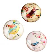 Set Of 3 Lovely Fridge Magnets Beautiful Birds Pattern Magnets